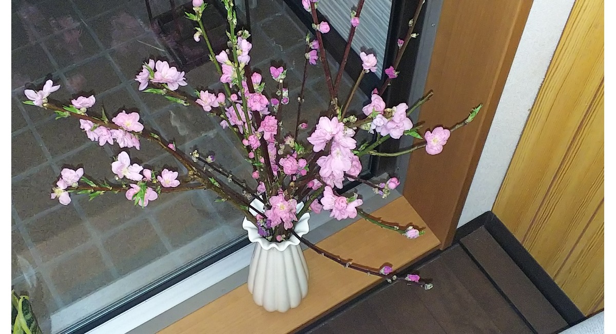 待合室　桃の花