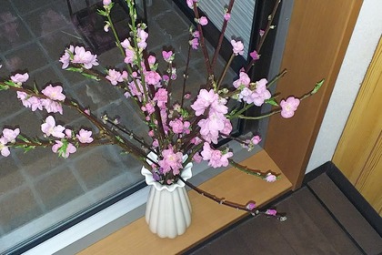 待合室　桃の花